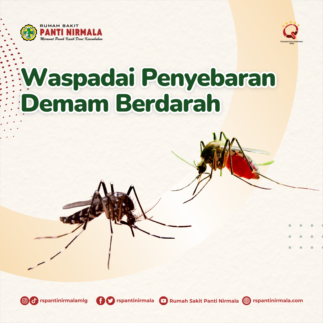 Waspadai Penyebaran Demam Berdarah, Cari Tau Edukasi Selengkapnya Di Sini!